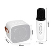 Blavec Kabelloser Lautsprecher Bluetooth WS-07 Karaoke Party 5W mit 2 Mikrofonen - Weiß