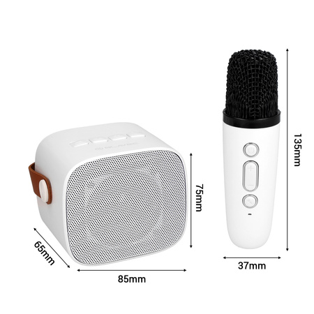 Blavec Kabelloser Lautsprecher Bluetooth WS-07 Karaoke Party 5W mit 2 Mikrofonen - Weiß