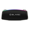 Blavec Kabelloser Lautsprecher Bluetooth TWS 120W Bassbox